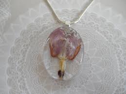 Soft Pink Bleeding Heart Pressed Flower Oval Domed Glass Etsy Pressed Flowers Bleeding Heart Soft Pink