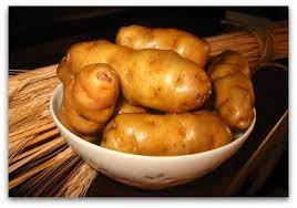 The potato has an earthy and nutty flavor that is similar to the taste sensed in cooked dry beans. Makah Ozette Potato Potatoes Slow Food Movement Hashbrowns