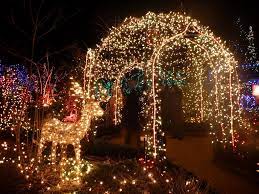The Festival Of Lights At The Vandusen Botanical Garden In Vancouver Garden Christmas Festival Lights Holiday Pictures