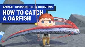 What kind of bubbles do pearls have in animal crossing? Animal Crossing New Horizons How To Get Pearls Usgamer