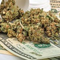 Www Extra Info Pot Stocks Com Ai Google News Food Pot