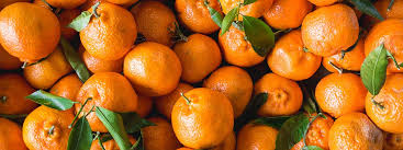 Einfach genießen und nicht an die kalorien denken. Wie Viele Kalorien Haben Die Mandarinen Blog Orangesonline