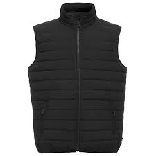 We did not find results for: Gilet Doudoune Sans Manche Noir Site Taille L Castorama
