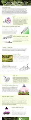 Around 500 lumens is ideal for growing plants. Growing Plants Under Lights Everything You Need To Know