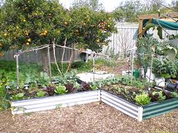 Find out which are the our favorite flowers for helping our pollinator friends on gardener's path now. Planting Vegetables In The Tropics What To Grow When