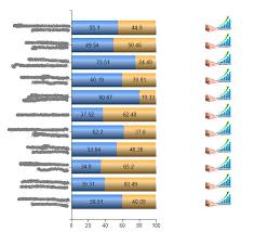 Align Images Dynamically Alongside Bar Graphs In Ssrs Charts