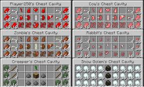 The personal chest used to be called, electric chest that could lock with the use of. Chest Cavity Mods Minecraft Curseforge