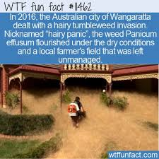 Pin On Daily Wtf Facts