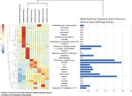 comparative genomic analysis of six glossina genomes