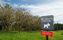 We did not find results for: Dog Waste Station Free Stock Photo By Tim Fitch On Stockvault Net