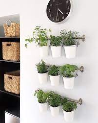 Terrific Screen Herb Garden Outdoor Ideas In 2021 Outdoor Herb Garden Herb Garden In Kitchen Indoor Herb Garden