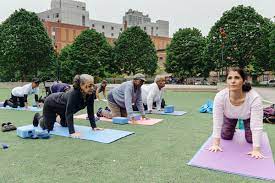 519 court street brooklyn, ny 11231. Seniors Do Free Yoga In Fort Greene Brooklyn Paper