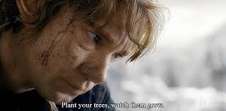 the lord of the rings gifs — “Never trust an Elf!”