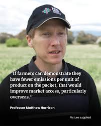 Greenland Merinos' top price ram sells to Bindaree Merino stud, Rocky Plain.