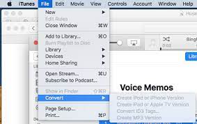 Every potential issue may involve several factors not detailed in the. How To Convert Voice Memos To Mp3
