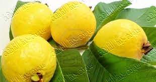 pin by جبنا التايهة on recipe lemon juice benefits guava fruit