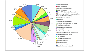 Pie Chart Representing The Relative Frequencies Of Each Of