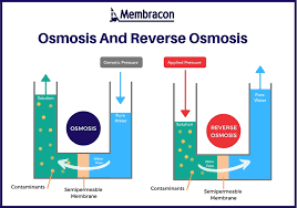 Categories basic sciences, clinical sciences, osmosis, step 1, step 2/3, usmle tags all osmosis prime videos download for. Reverse Osmosis Systems In Industrial Processes