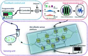 Herzlich willkommen bei autocenter miri ihr kompetenter partner wenn es um gebrauchtwagen geht!!! Closed Loop Feedback Control Of Microfluidic Cell Manipulation Via Deep Learning Integrated Sensor Networks Lab On A Chip Rsc Publishing
