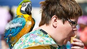 Cherry Blossom Festival's Balloon Glow through the years