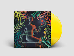 Add shy away from sth to one of your lists below, or create a new one. Don T Shy Away By Loma On Sub Pop Records