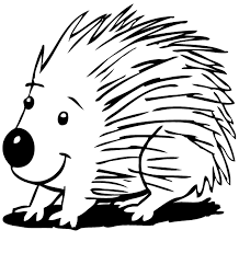 Porco Espinho Para Colorir Desenhos De Animais Para Pintar Desenhos Para Colorir