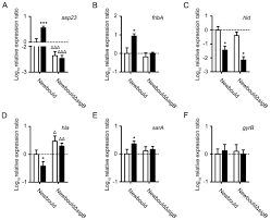 Rabiya mateo was spotted with andre brouillette in california amid breakup rumors with her boyfriend of six years. Staphylococcus Aureus Sigma B Dependent Emergence Of Small Colony Variants And Biofilm Production Following Exposure To Pseudomonas Aeruginosa 4 Hydroxy 2 Heptylquinoline N Oxide Bmc Microbiology Full Text