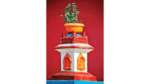 dreaming about holy plants dreaming about holy plants