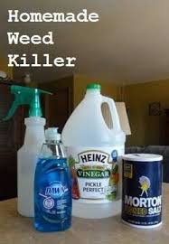 When looking for a natural alternative to herbicides, a cocktail of vinegar, salt and liquid dish soap has all of the ingredients needed to quickly kill weeds. Pin On Homemade Ideas