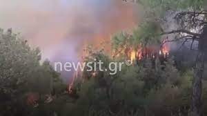 Live live πρόγραμμα ενημέρωση ειδήσεις, ενημερωτικές εκπομπές, ντοκιμαντέρ σειρές 8 λέξεις, λόγω τιμής, θα γίνει της πολυκατοικίας, ο γιατρός, η ιστορία ενός. 0fqtake1xihlrm