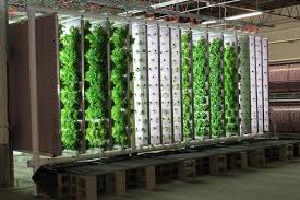 Hydroponic Garden Design Ideas Vertical Garden Ideas Vegetable Garden Herb Garden Vertical Garden Diy Backyard Garden Backyard Garden Layout