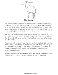 This essay is very simple and easy to remember. Short Story The Camel English Unite