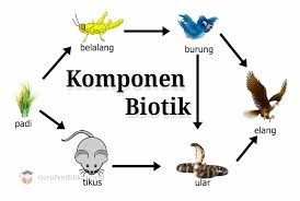 Jika anda baru bepergian alias traveling ke luar negeri dengan jadwal padat atau perbedaan waktu yang berbeda, bisa jadi itu penyebab siklus haid jadi datang dua kali dalam sebulan. Pengertian Komponen Biotik Macam Hubungan Dan Faktor