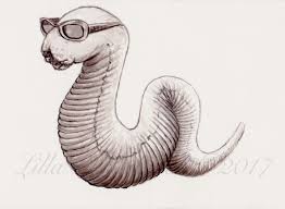 3punkt1 Der Halbe Wurm Illustration Fantasie Illustration Wurm Sonnenbrillen Von Lillavarhelyi Bei Kunstnet