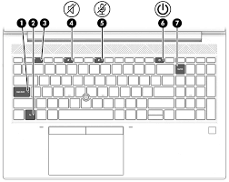 In a blue box under scroll it should read num lk. if your model of hp laptop has a number lock light, it will now turn on. Ojveiwjxbtctnm