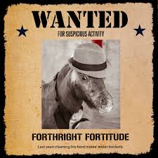 Horse Protection Association of Florida