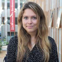 100+ "Marrone" profiles