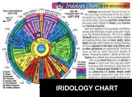 iridology chart of eye reflexology rainbow coded