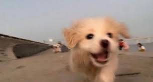 보기만해도 신나는 짤 | 중고악기 뮬