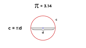 circles radius diameter chords circumference and sectors