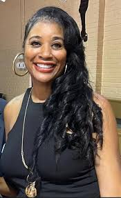 Horry County Council Member Michael Masciarelli and Dennis DiSabato got in  a heated exchange Tuesday. The council was discussing allowing Shibumi  Shades