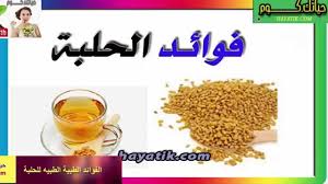 الفوائد الطبية الطبيه للحلبة فوائد الحلبة الخضراء فوائد الحلبة الحصى فواءد الحلبة Food Animals Dog Food Recipes Glassware