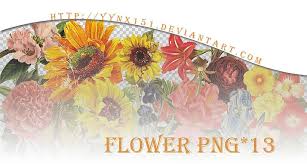 Flower Png Pack 05 By Yynx151 Deviantart Com On Deviantart Neon Signs Photoshop Art Png