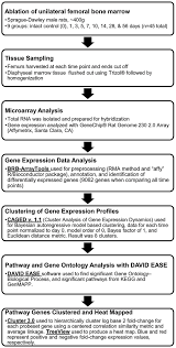 Flow Chart Of The Chronological Steps Involved In The