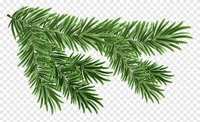 Please use search to find more variants of pictures and to choose between available options. Christmas Resource Green Christmas Tree Leaf Png Pngegg