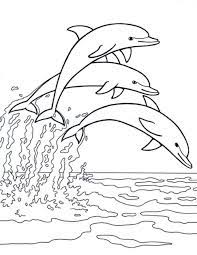 Delfine zum ausmalen malvorlagen für kinder. Dolphins Malvorlagen Tiere Ausmalbilder Ausmalen