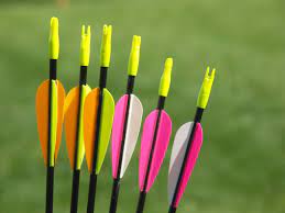 What type of metal will you be looking for? Best Metal Detector For Archery How To Find Lost Arrows