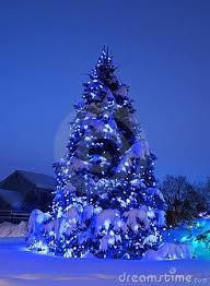 Tree With Christmas Lights In Blue Outdoor Christmas Outdoor Christmas Lights Christmas Lights