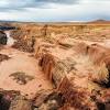 Organ pipe cactus national monument. 1