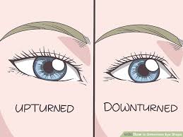 How To Determine Eye Shape With Pictures Wikihow